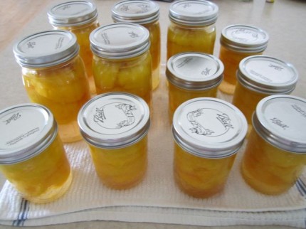 Post image for Canning is Easy!